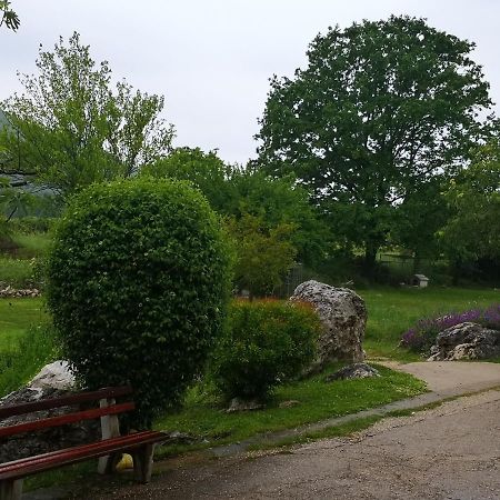 B&B Villa Ellena Međugorje Eksteriør billede