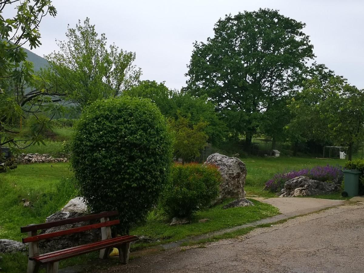 B&B Villa Ellena Međugorje Eksteriør billede